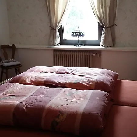 Penzion Landgasthof Schaenzer 2*