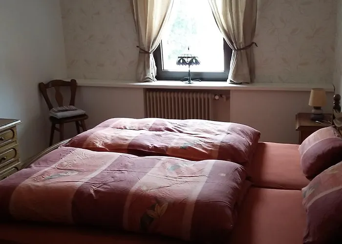 Inn Landgasthof Schaenzer 2*