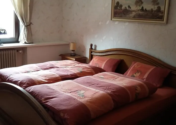 Inn Landgasthof Schaenzer